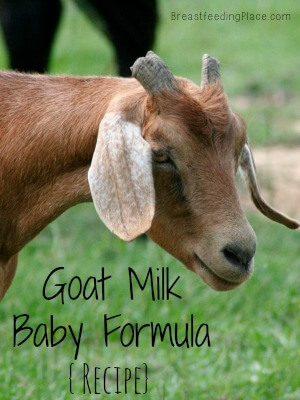 Goat Milk Baby Formula {Recipe}  www.BreastfeedingPlace.com  #breastfeeding #recipe #baby