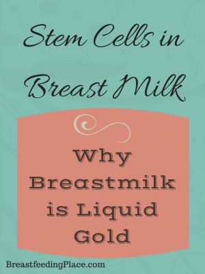 Stem Cells in Breast Milk: Why Breastmilk is Liquid Gold  BreastfeedingPlace.com 