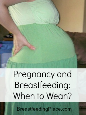 Pregnancy and Breastfeeding: When to start weaning?  BreastfeedingPlace.com  #breastfeeding #pregnancy #weaning
